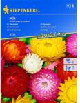 kiepenkerl Semințe de floarea soarelui decorativă Cut Wonder (96542)