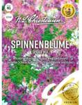 Chrestensen Semințe de planta păianjen (Cleoma) Spider, mix multicolor (96460)