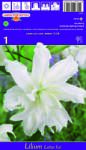 Holland Bulb Market Crin oriental dublu Lotus Ice (37229)