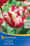 kiepenkerl Lalele Estella Rijnveld (501775)