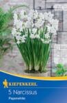 kiepenkerl Narcise Paperwhite (504417)