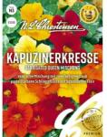 Chrestensen Semințe de condurul doamnei Queen, mix multicolor (87812)