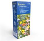 kiepenkerl Semințe de flori Summer Feeling, mix multicolor (87252)