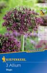kiepenkerl Allium Magic (507616)