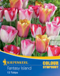 kiepenkerl Bulbi de flori Fantasy Island (507166)