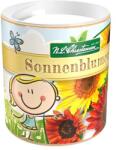 Chrestensen Semințe de kit de însămânțare pentru floarea soarelui decorativă (86229)