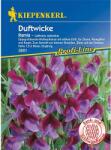 kiepenkerl Semințe de lathyrus odoratus (Sângele voinicului) Ramia (96531)