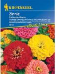 kiepenkerl Semințe de zinnia (Cârciumăreasă) California Giants (87269)