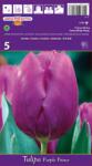kiepenkerl Lalele Purple Prince (37117)
