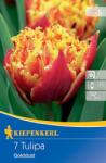 kiepenkerl Lalele Golddust (504493)