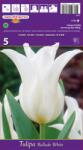  Lalele tip crin Ballade White (37080)