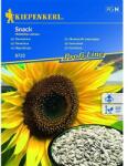 kiepenkerl Semințe de floarea soarelui decorativă Snack (96541)
