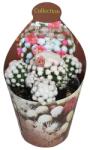  Cactus (Mammillaria gracilis oruga) la ghiveci ø 6, 5 cm (6500774)