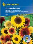 kiepenkerl Semințe de floarea soarelui decorativă Fantasia F1 (86320)