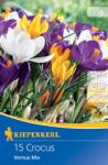 kiepenkerl Brândușe gigant mix multicolor (504509)
