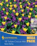 kiepenkerl Mega Pack Brândușe Spacy Spring mix multicolor (507289)