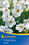 kiepenkerl Narcise Actaea (505803)