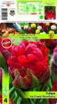  Lalele duble tip bujor Ice Cream Strawberry (12239)