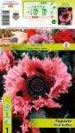 Holland Bulb Market Mac de grădină (Papaver) Pink Ruffles (10415)
