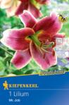 kiepenkerl Crin Mr. Job (507753)
