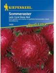 kiepenkerl Semințe de ochiul boului Lady Coral Deep Red (86313)