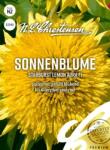 Chrestensen Semințe de floare soarelui decorativă Starburst Lemon Aura F1 (86192)