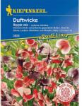 kiepenkerl Semințe de lathyrus odoratus (Sângele voinicului) Ripple, mix multicolor (86262)