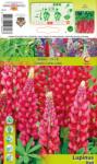 Holland Bulb Market Lupin roșu (10606)