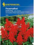kiepenkerl Semințe de salvie decorativă Scarlet King (86265)