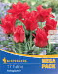 kiepenkerl Mega Pack Lalele Little Red Riding Hood (508699)