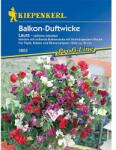 kiepenkerl Semințe de lathyrus odoratus (Sângele voinicului) Laura (86261)