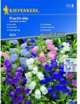 kiepenkerl Semințe de clopoțel (Campanula) Splendid, mix multicolor (96522)