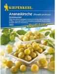 kiepenkerl Semințe de physalis (Cireșe de pământ) Gold Marble (86237)