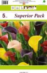 Holland Bulb Market Cală mix multicolor (38128)
