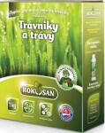 Rokosan Îngrășământ solid bio pentru gazon și ierburi ornamentale Rokosan (3075)