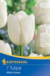 kiepenkerl Lalele White Dream (507401)