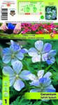 Holland Bulb Market Mușcată englezească (Geranium) Splish Splash (10327)