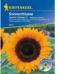 kiepenkerl Semințe de floarea soarelui decorativă Sunrich Orange F1 (87758)