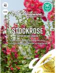 Chrestensen Semințe de nalbă de grădină Antwerp Hollyhock (86197)