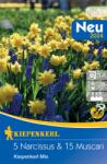 kiepenkerl Narcise și Muscari mix multicolor (507982)