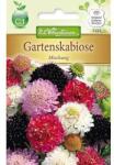 Chrestensen Semințe de scabiosa, mix multicolor (78936)
