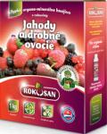 Rokosan Îngrășământ solid bio pentru căpșuni și fructe de pădure Rokosan (3070)