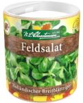Chrestensen Semințe de kit de însămânțare Salată de câmp (Fetică) Hollandischer Breitblattriger (86224)