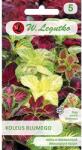 Legutko Semințe de coleus Standard, mix multicolor (69597)