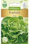 Chrestensen Semințe de salată verde Mona (78771)
