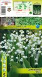 Holland Bulb Market Lăcrămioară (Convallaria Majalis) albă (10566)