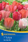 kiepenkerl Lalele Van Eijk mix multicolor (507418)