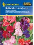 kiepenkerl Semințe de lathyrus odoratus (Sângele voinicului) Liberty, mix multicolor (87749)