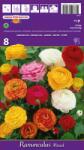  Ranunculus mix multicolor (37200)