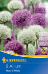 kiepenkerl Allium Blue & White (506794)